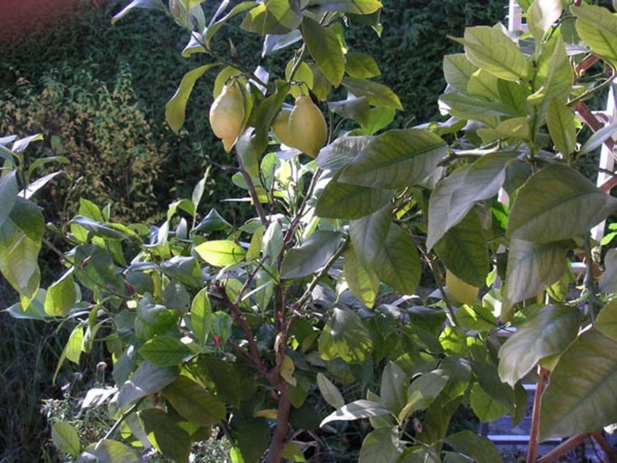 My Sweet Home Sauerlach Εξωτερικό φωτογραφία